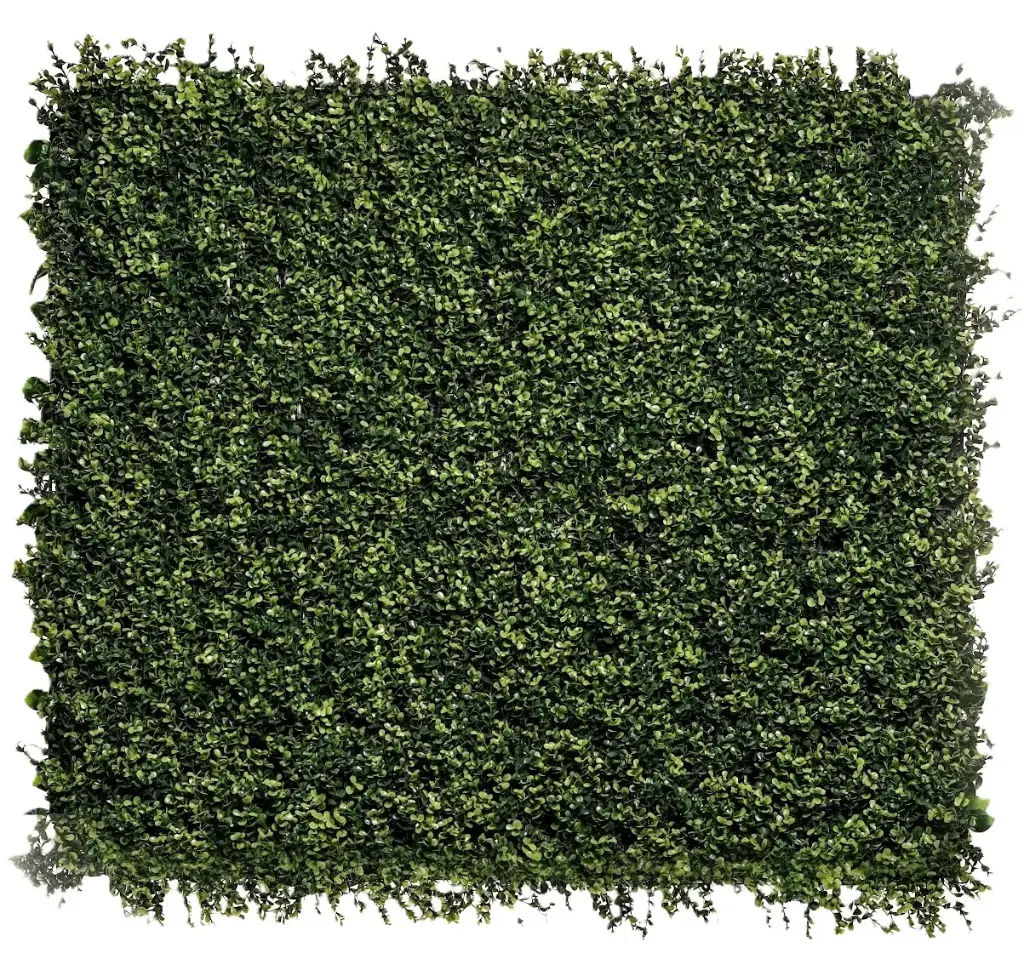 Hoja de Te
