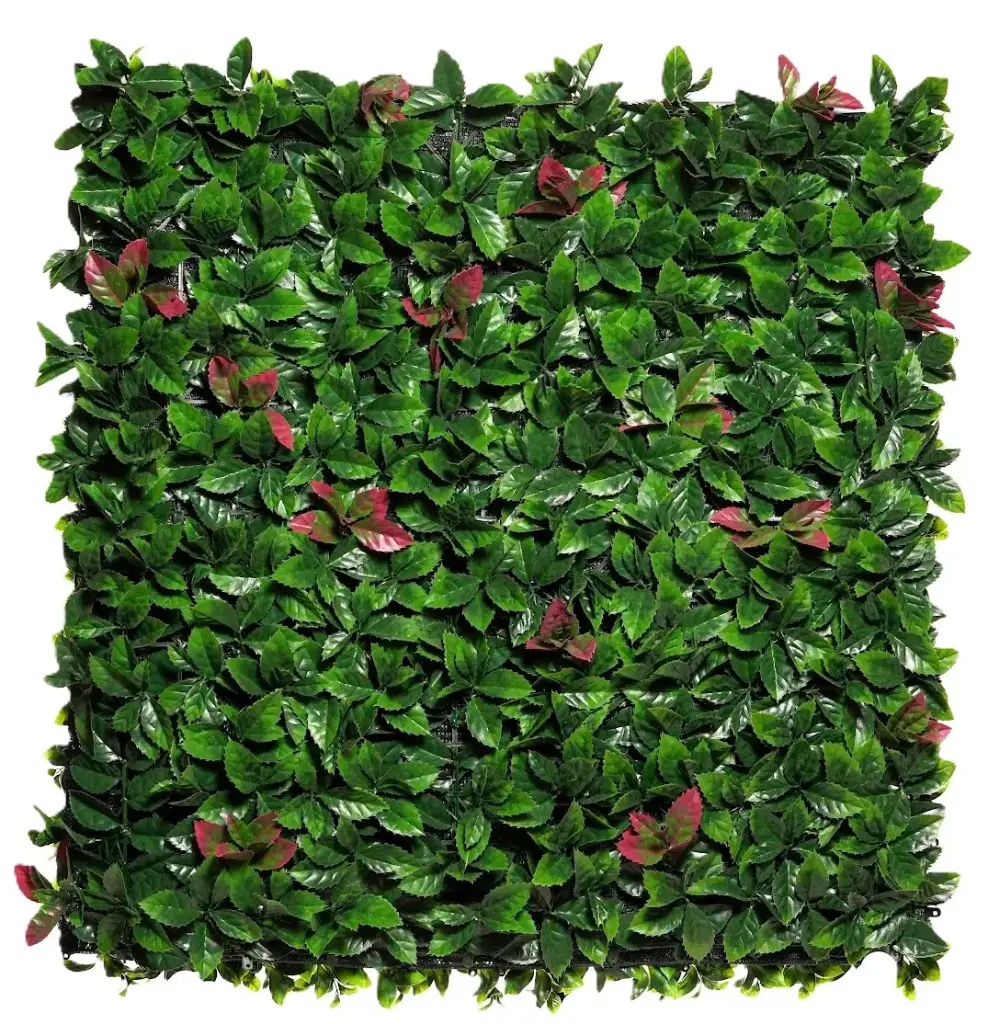 Laurel