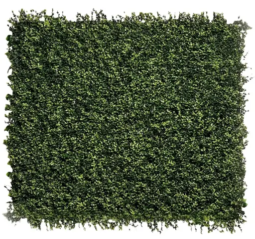 [IM010202] Hoja de Te