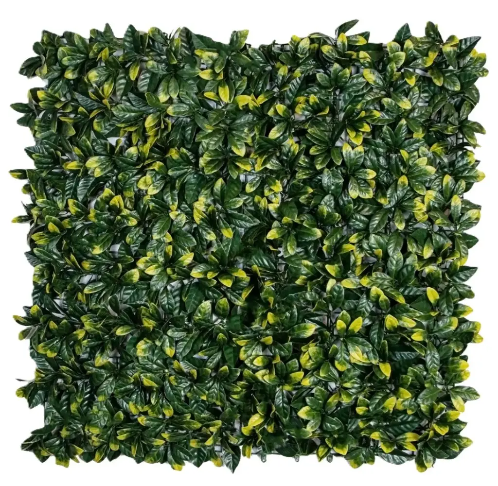 [IM010245] Gardenia